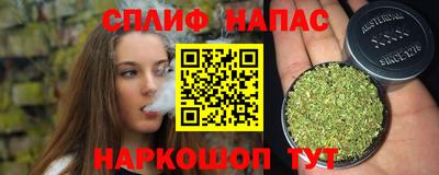 стаф Кинель