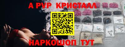 стаф Кинель