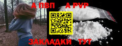 стаф Кинель