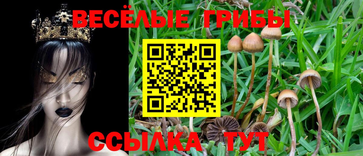 Псилоцибиновые грибы прущие грибы  Вход с VPN  Красноармейск 